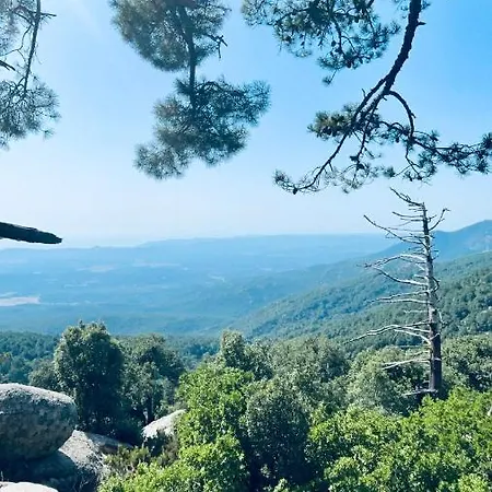Apartman Costa Nera